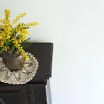 La Villa Nei Fiori