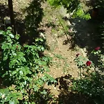La Villa Nei Fiori